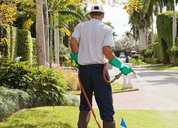 About Encino TX Pest Control